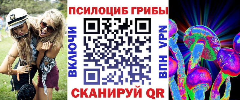 Купить закладки  Красково  Псилоцибиновые грибы GOLDEN TEACHER 